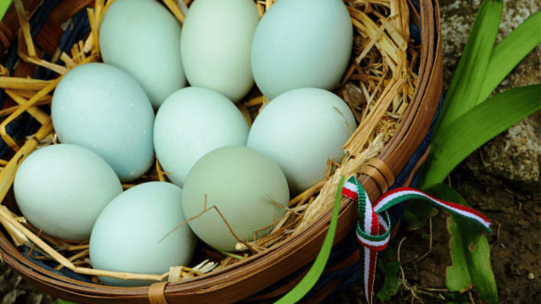 Blue Eggs