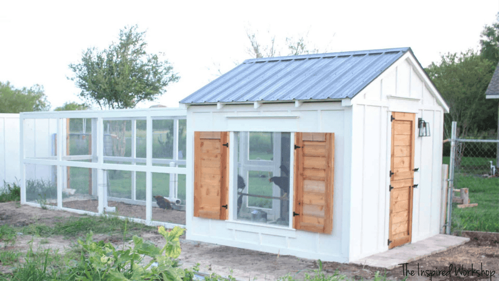 DIY chicken coop plans