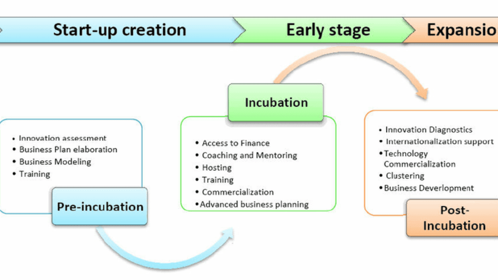 Detailed Incubation Process