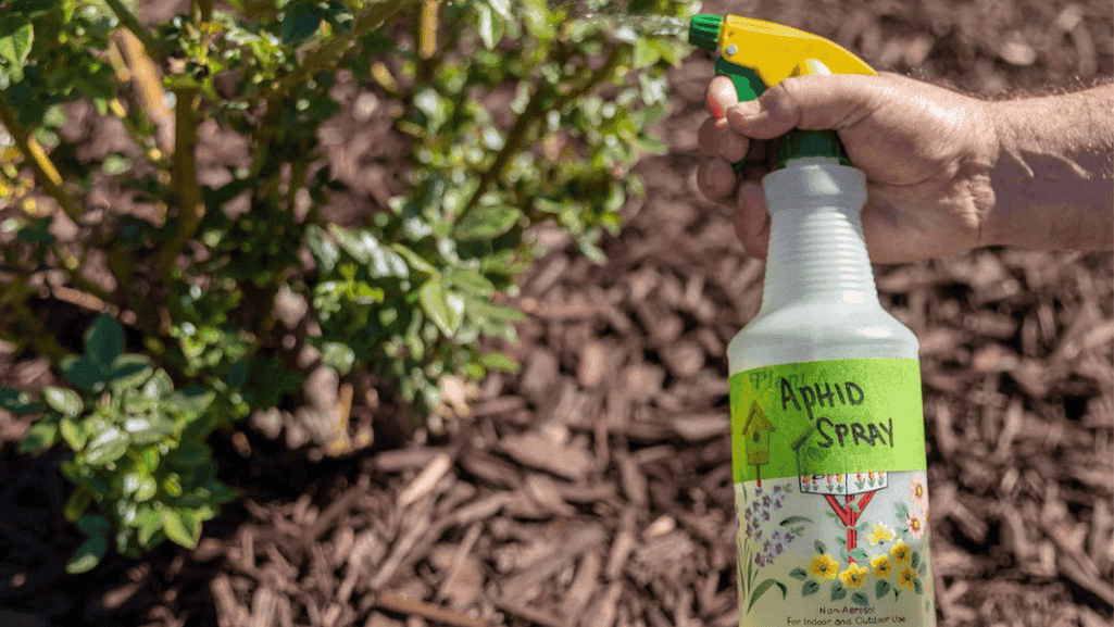 Easy DIY Mite Spray Recipes Easy DIY Mite Spray Recipes