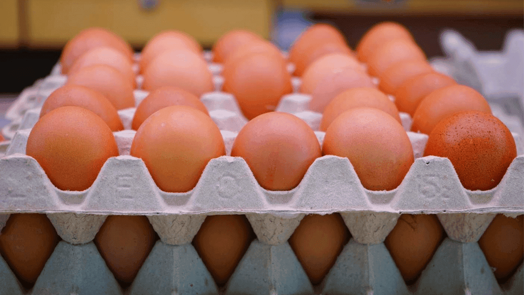 Ethical Egg Purchasing Practices