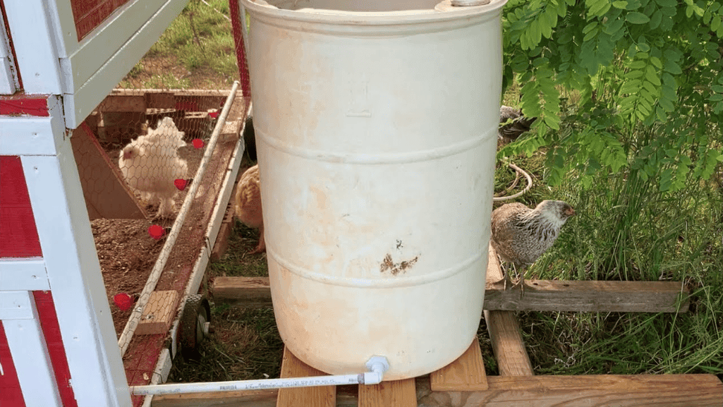 Gravity Feeders for Chickens Gravity Feeders for Chickens