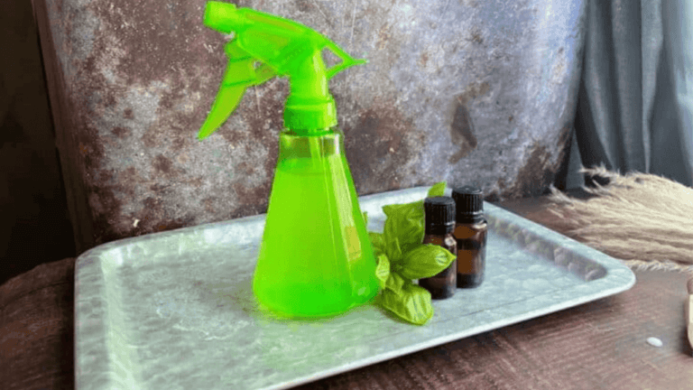 Homemade Chicken Mite Spray