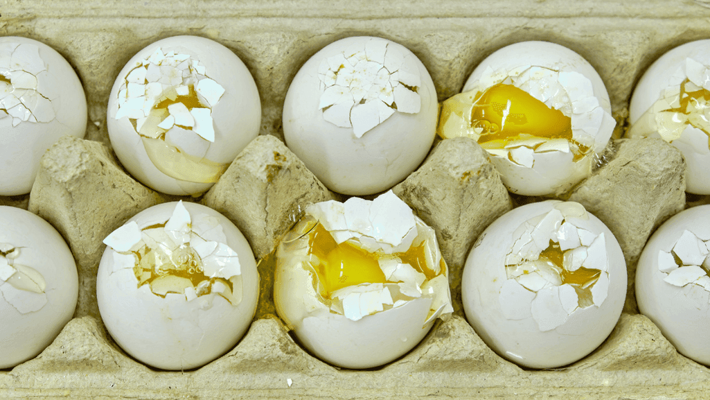 Identifying Spoiled Eggs