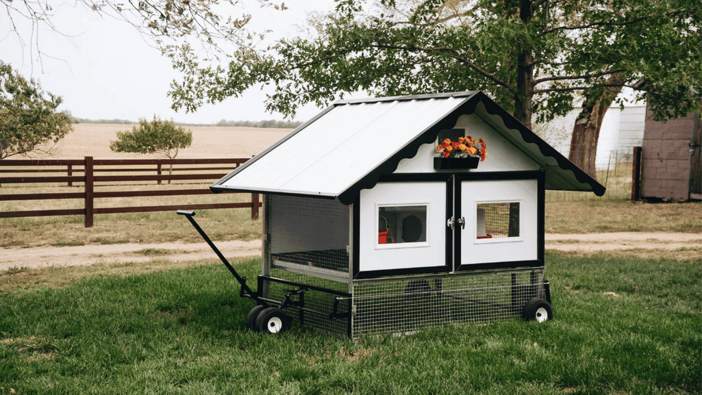 Innovative Design Elements of Portable Chicken Coops
