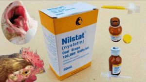 Nystatin for Chickens