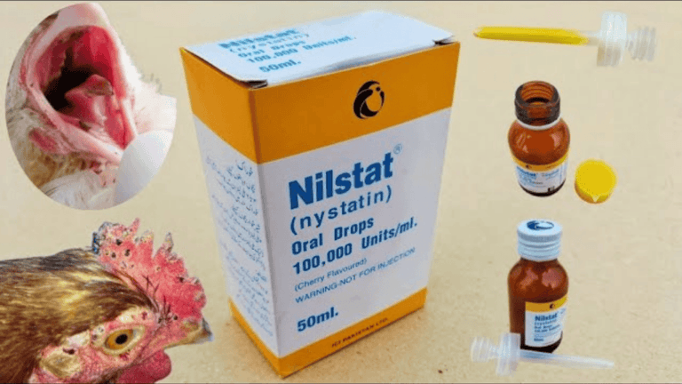 Nystatin for Chickens