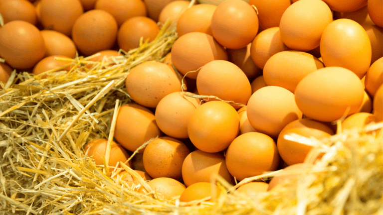 Shelf Life of Fresh Eggs