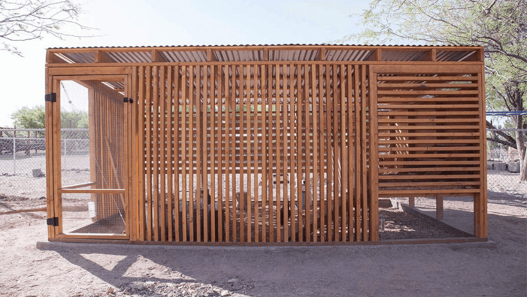modern chicken coop design