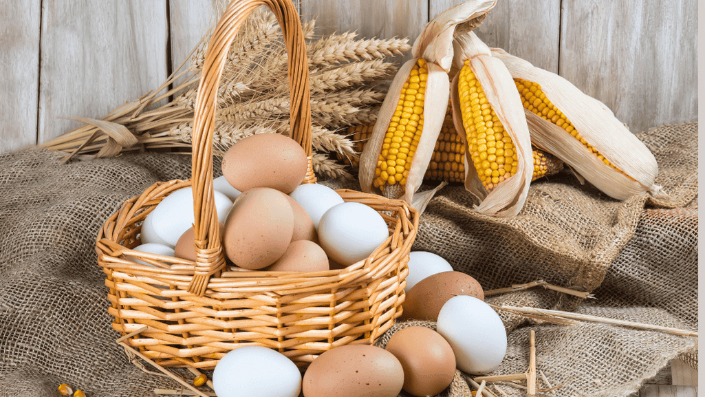 tips for extending fresh eggs freshness
