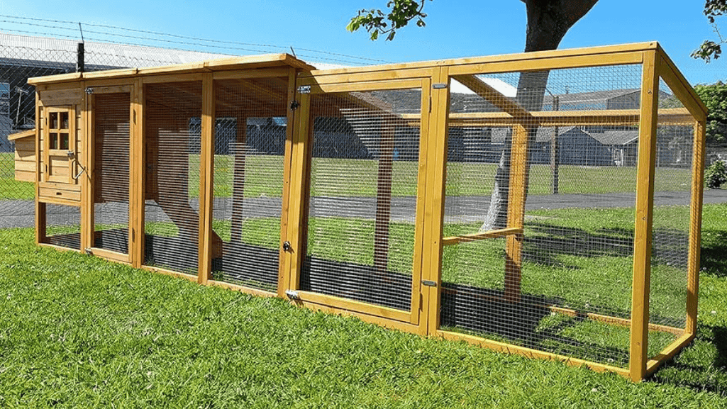 Accessible Large Chicken Coop Designs