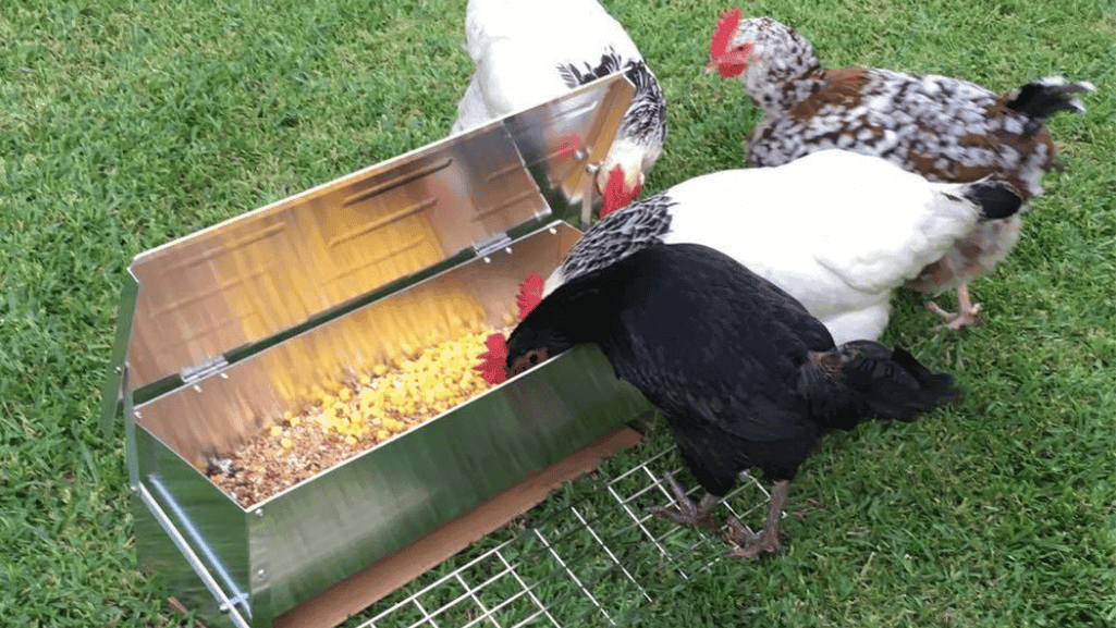 Automatic Poultry Feeders