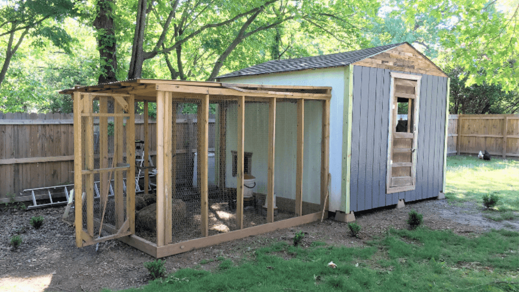 Backyard Chicken Pen