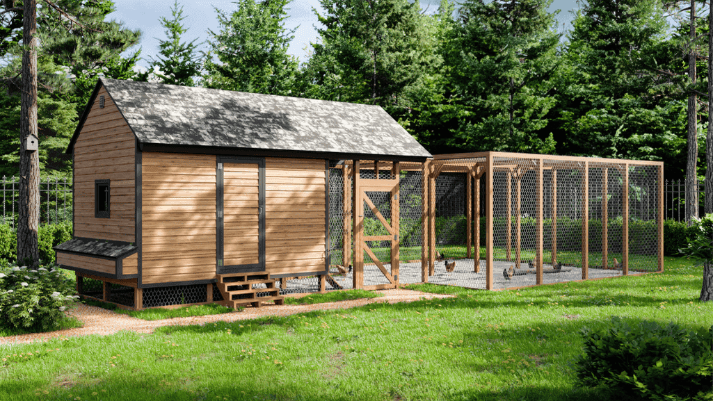Benefits of Large Chicken Coop Design