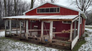 Breeding Chicken Pens