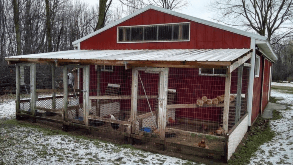 Breeding Chicken Pens