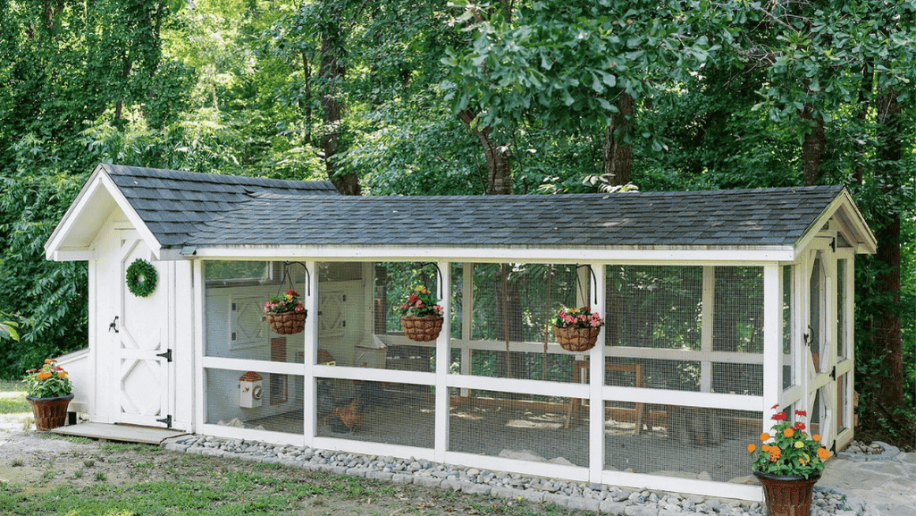 Charming Styles of Walk in Chicken Coops