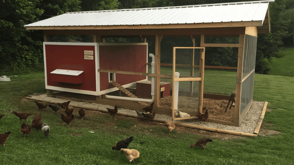 Chicken Coop Landscape Design Chicken Coop Landscape Design