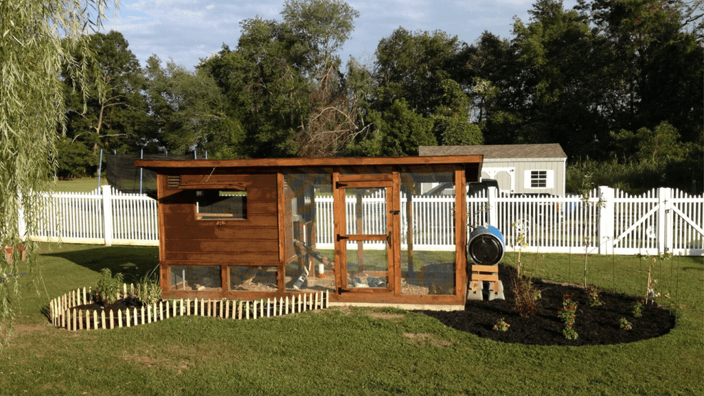 Chicken Pen Maintenance