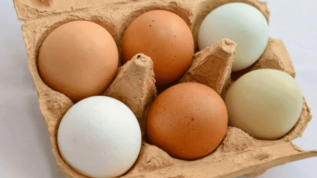Extended Egg Shelf Life