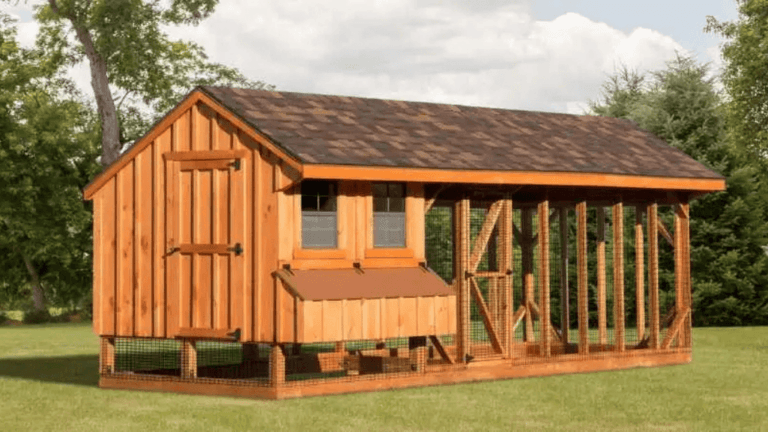 Large Chicken Coop