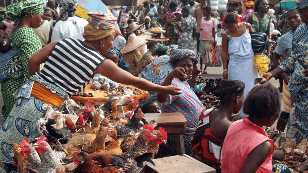 Local farm market selling Heritage Farms Chicken Local farm market selling Heritage Farms Chicken