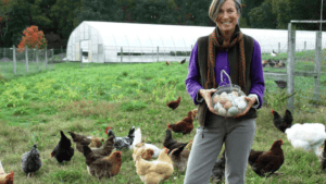 Raising Chickens for Eggs