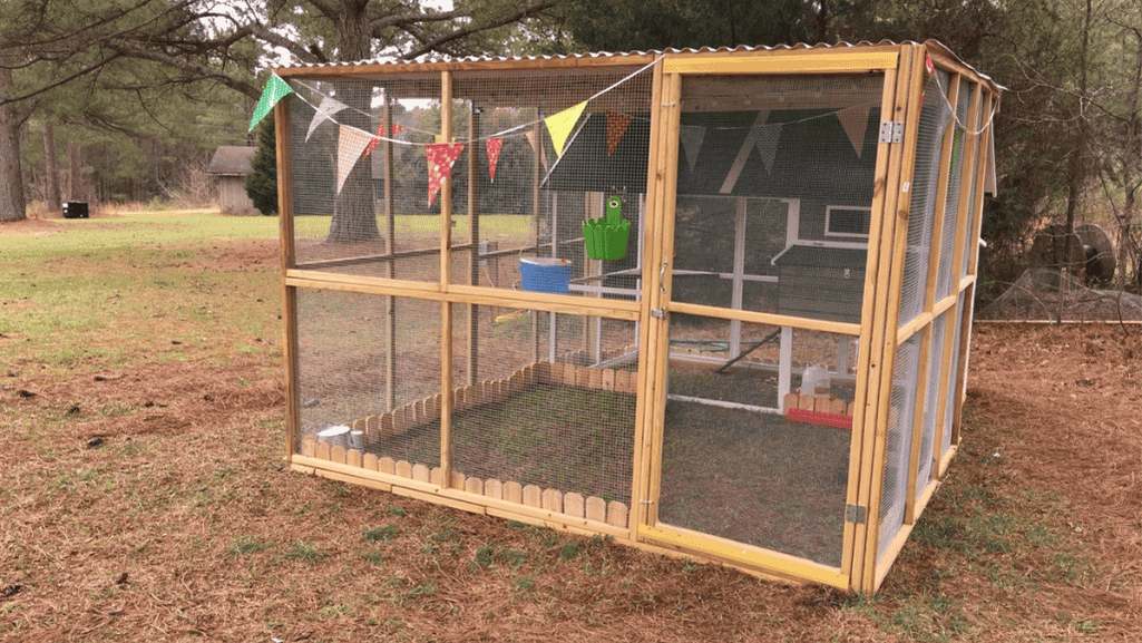 Secure Chicken Coop