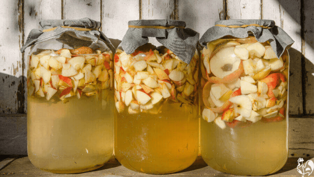 apple cider vinegar for deworming chickens