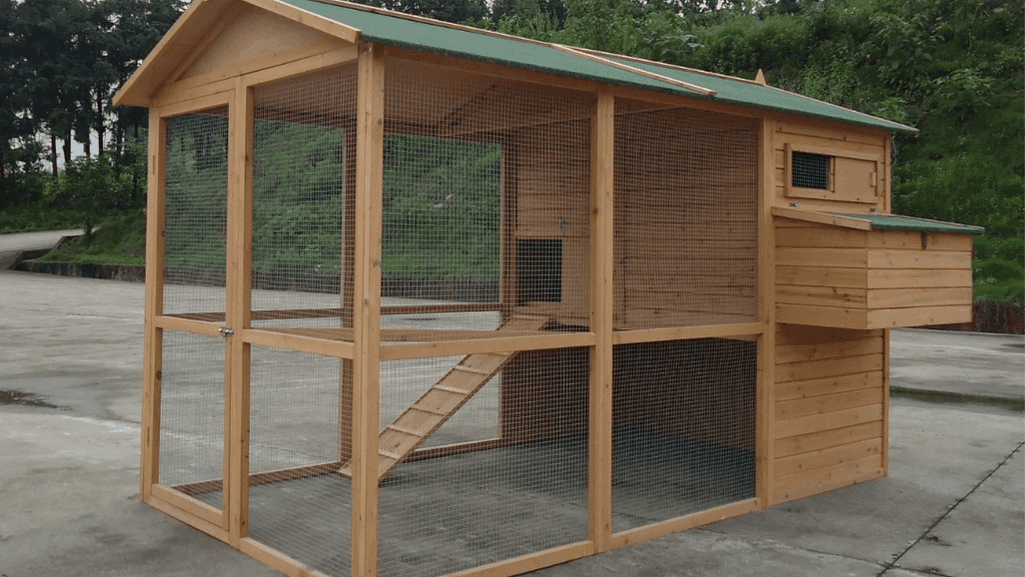 chicken coop designs