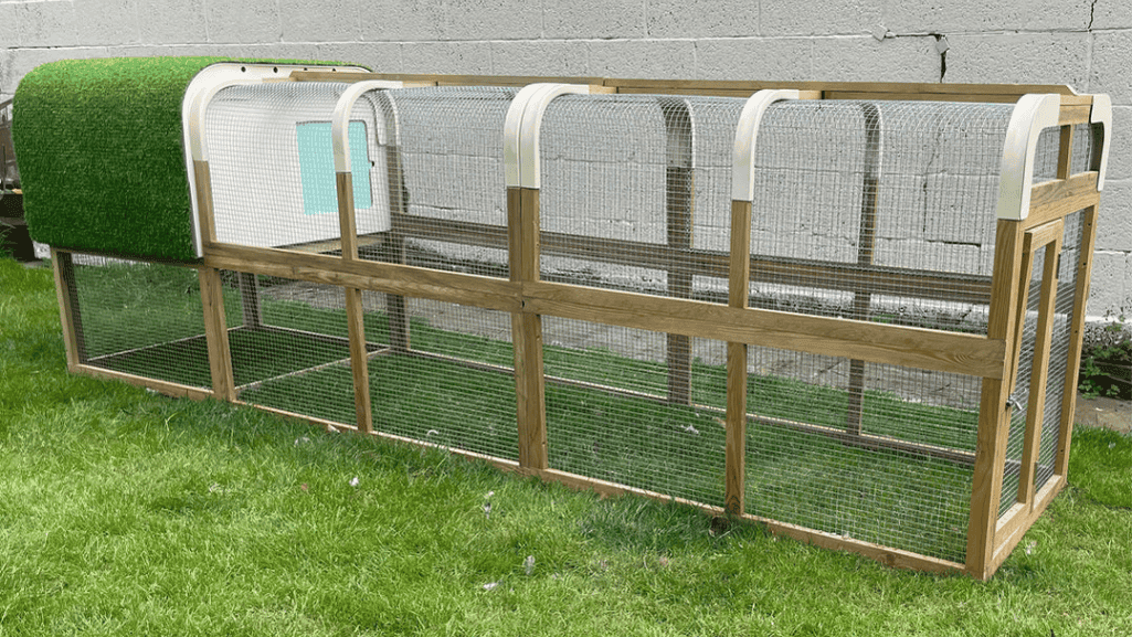 chickens in a spacious coop and run