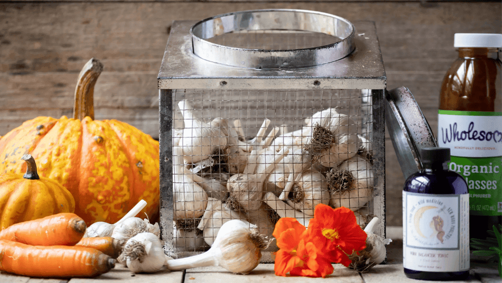 natural dewormer dosage for chickens