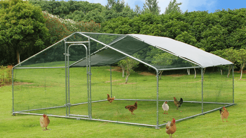 outdoor chicken coop