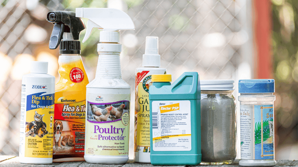permethrin for chicken mite control