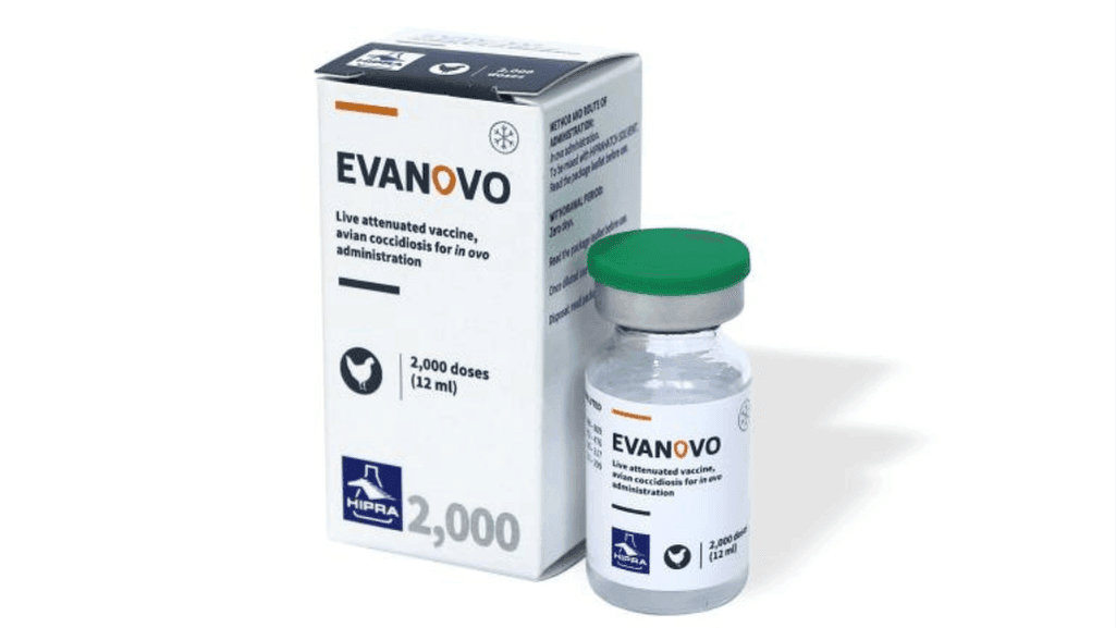 professional treatment for chicken coryza