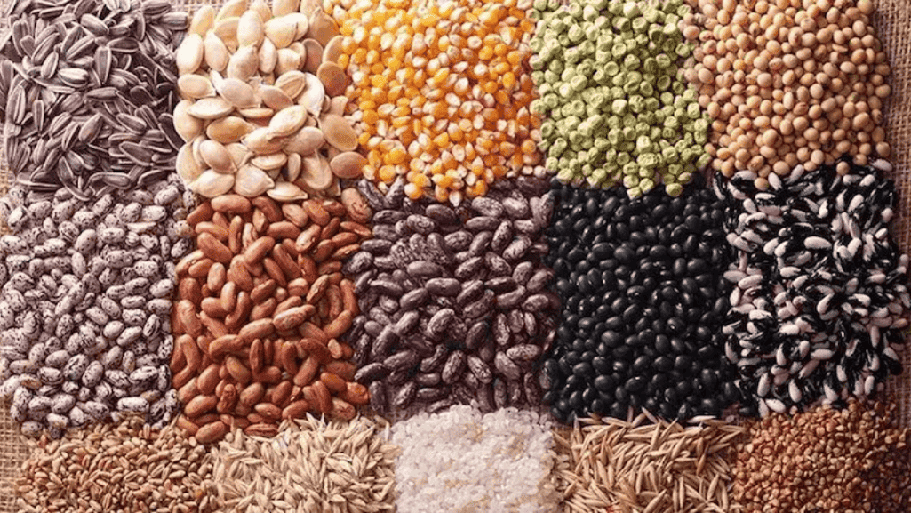 sustainable chicken feed sustainable chicken feed