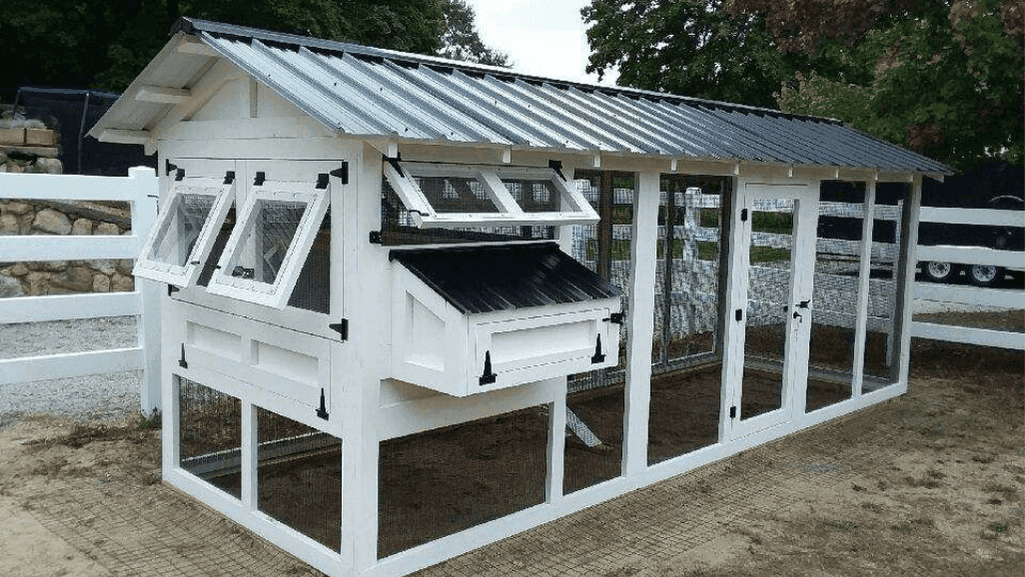 American-built chicken coop