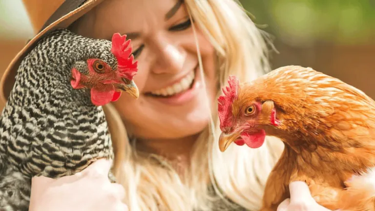 Can You Keep Chickens Indoors