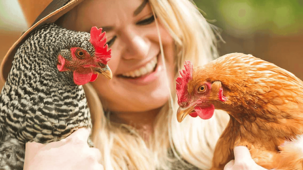 Can You Keep Chickens Indoors