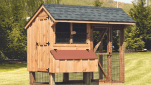 Chicken Coop for 6 Chickens
