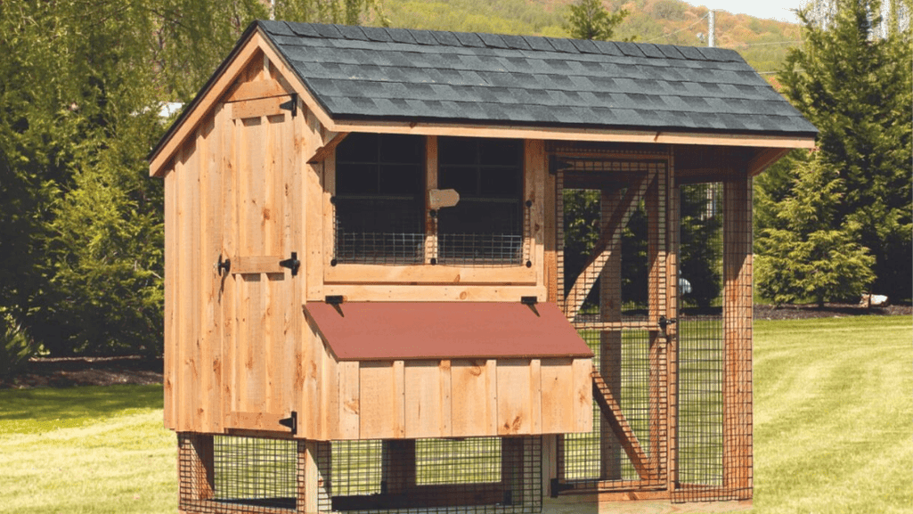 Chicken Coop for 6 Chickens