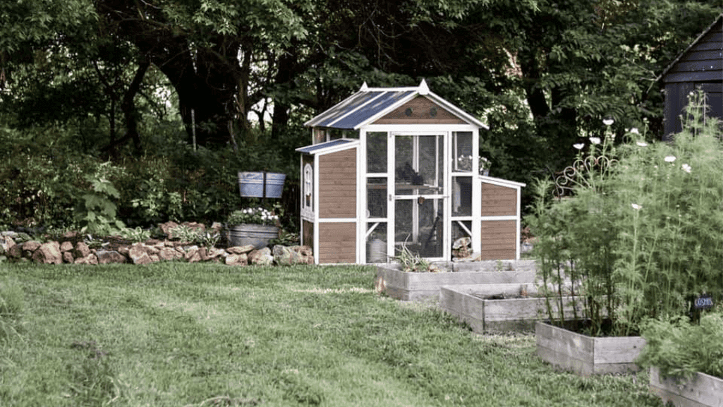 Chicken Run Landscaping Ideas