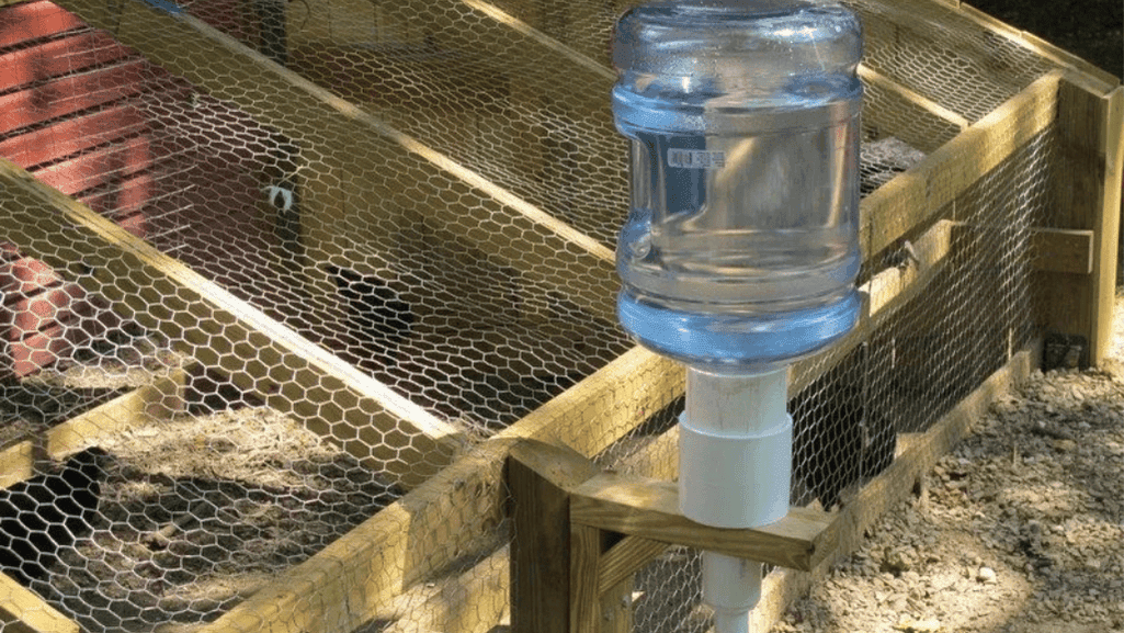 Creative chicken waterer designs