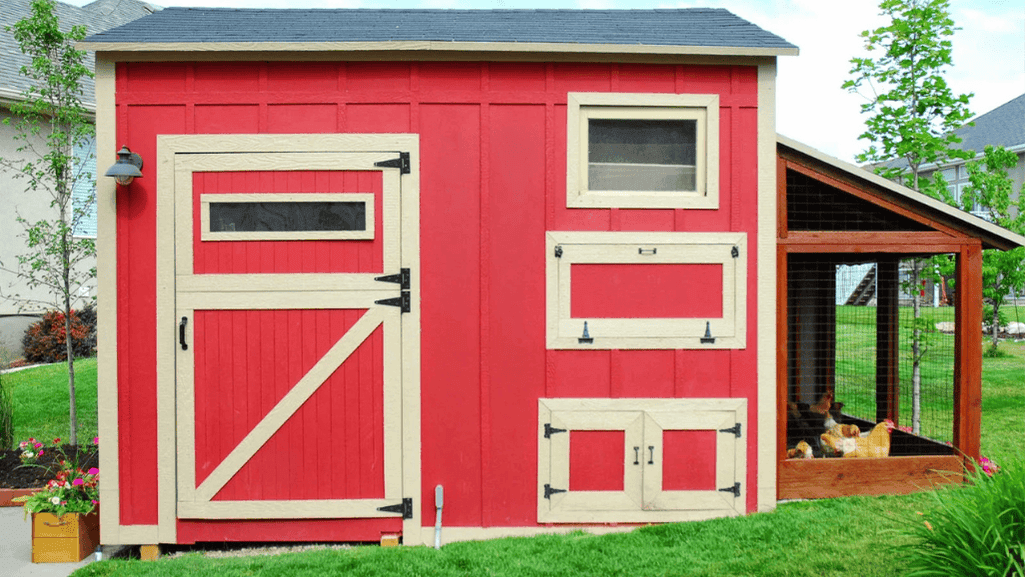 DIY chicken coop plans