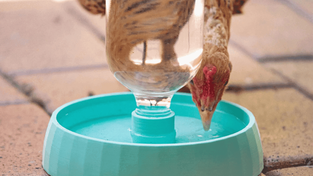 DIY Automatic Chicken Waterer