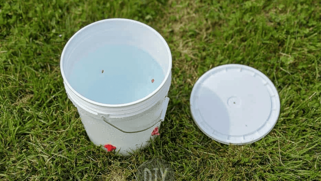 DIY Chicken Waterer Tutorial