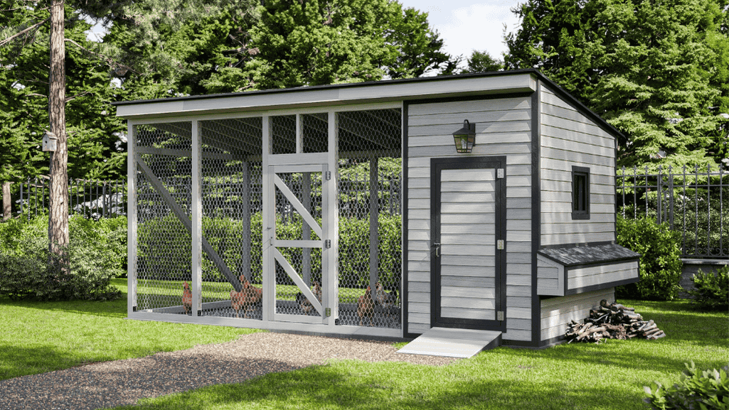DIY chicken coop plans