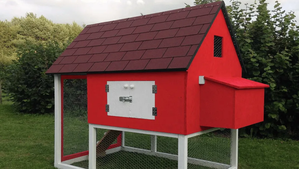 Detailed chicken coop construction guide