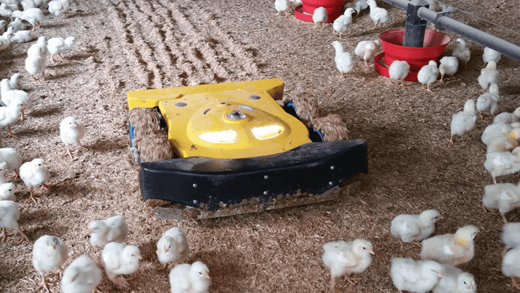 Innovative Poultry Run Ideas