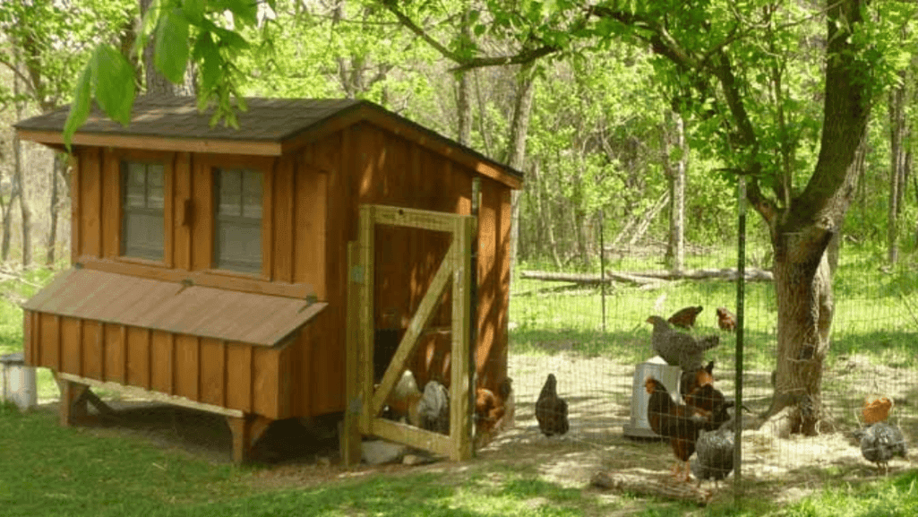 Raised Coop Floor Design